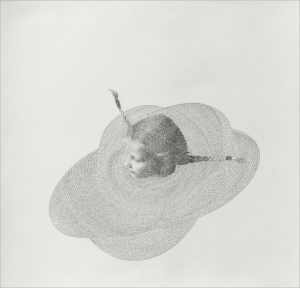 Armida Gandini - Ruff - Graphite and photography transferred on rosaspina paper - cm. 70 x 70 - 2016