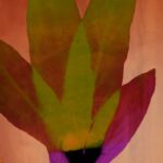 Christelle Boulé – Botanica#32 2020