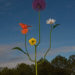 Jennifer Latour Wild Flower no.10 2022, Courtesy of Open Doors Gallery
