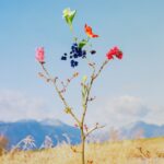 Jennifer Latour Wild Flower no.15 2022, Courtesy of Open Doors Gallery
