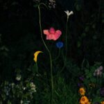 Jennifer Latour Wild Flower no.9 Courtesy of Open Doors Gallery