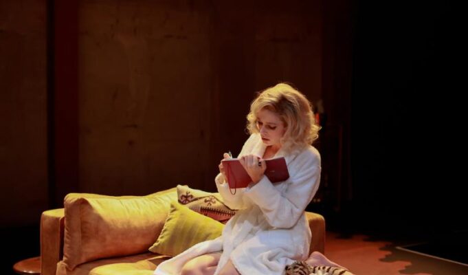 The Marilyn Conspiracy | Review