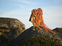 RIOT, Fiona Campbell. (Photo Russell Sach)