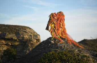 RIOT, Fiona Campbell. (Photo Russell Sach)